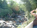 Visites et bains dans la Baxada Fluminense